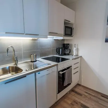 New & Luxurious Business By Arctic Homes Daire Rovaniemi
